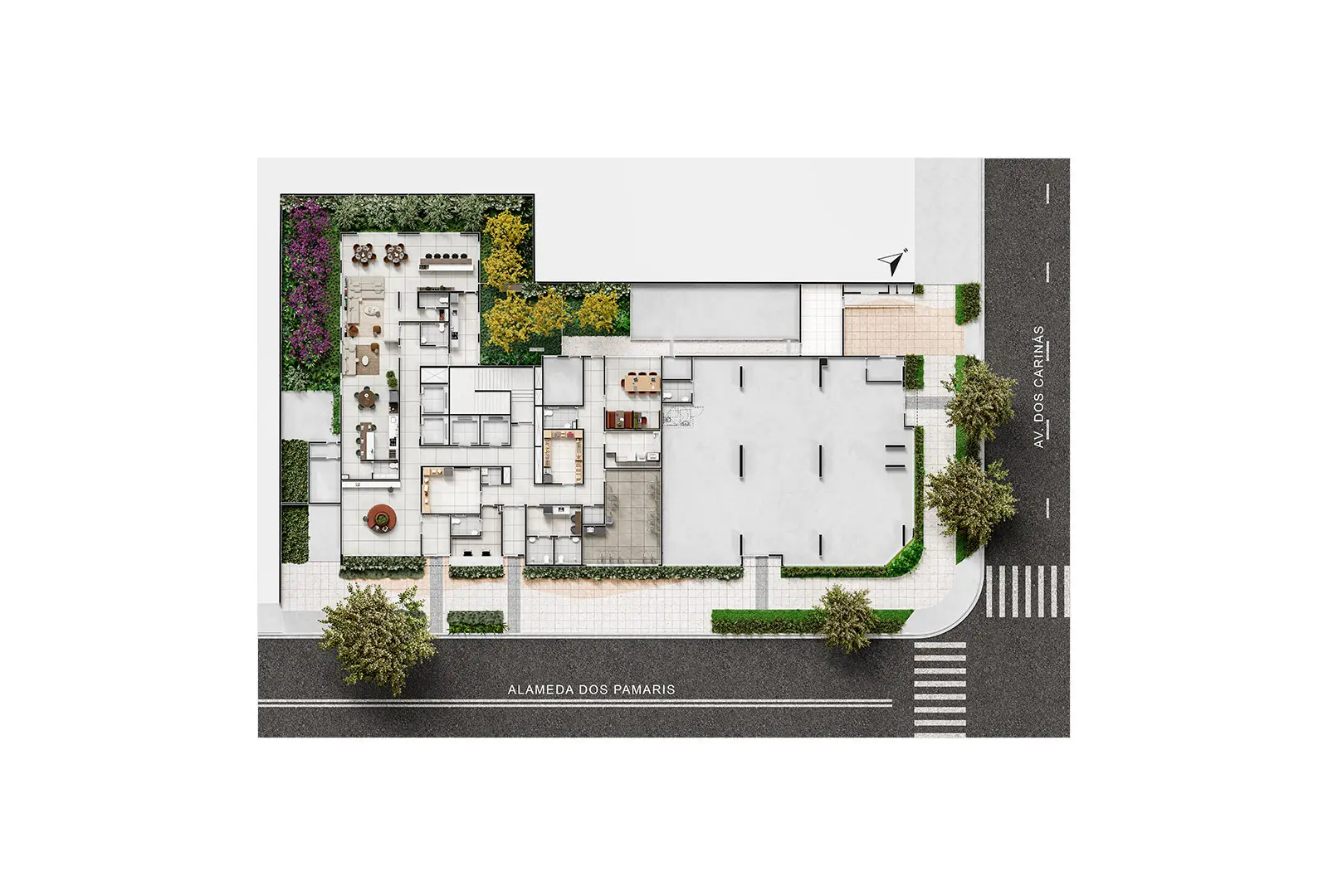 Planta Nex One Eucaliptos